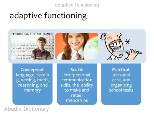 adaptive functioning
